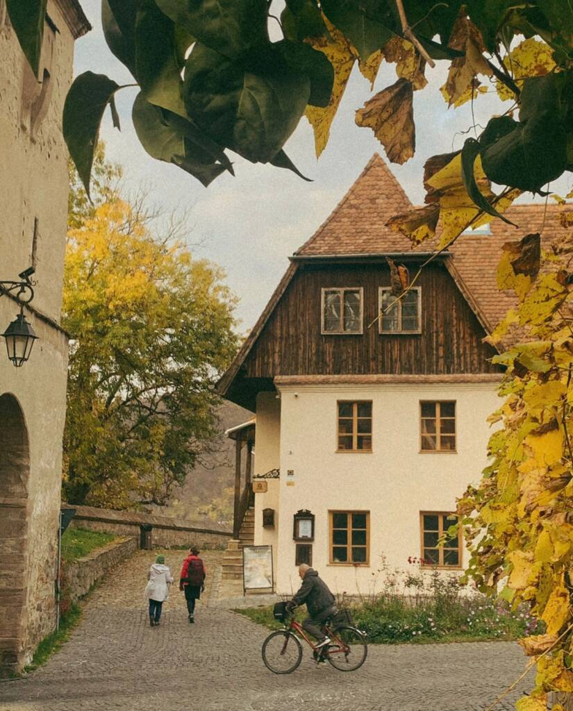 Casa Armelor si Hartilor